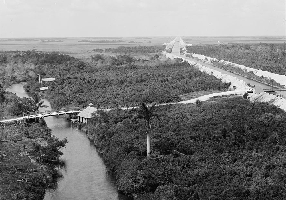 Our Climate Change Future Looks Like the Everglades